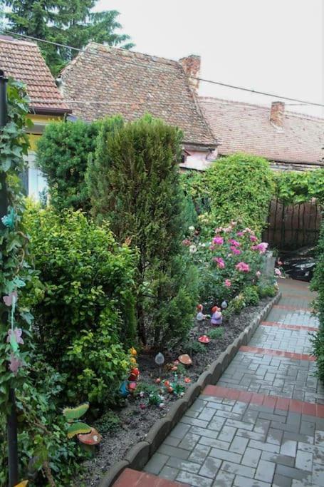 Color Home Hermannstadt 1 エクステリア 写真