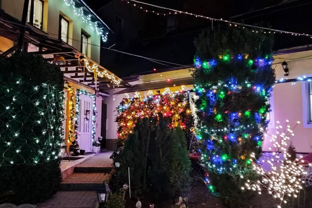 Color Home Hermannstadt 1 エクステリア 写真