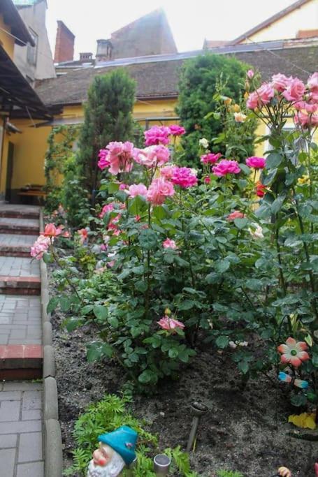 Color Home Hermannstadt 1 エクステリア 写真